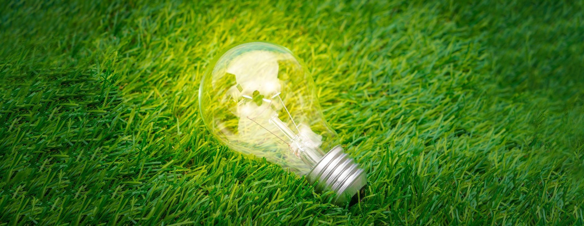 eco-concept-light-bulb-grow-in-the-grass_quer
